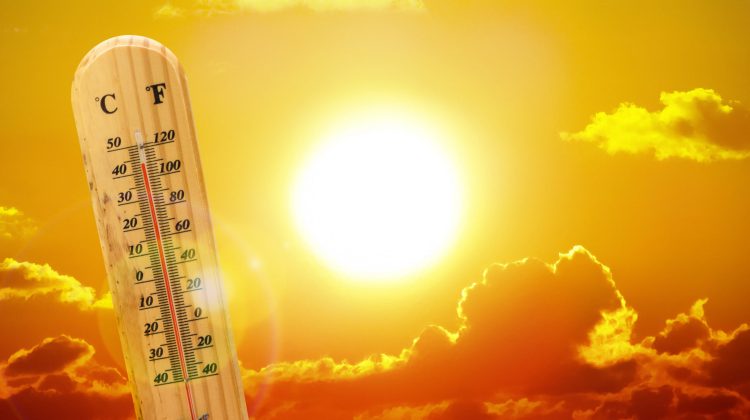 Valurile de căldură vor afecta economia mondială, în 2023. O zi de caniculă echivalentă cu o jumătate de zi de grevă