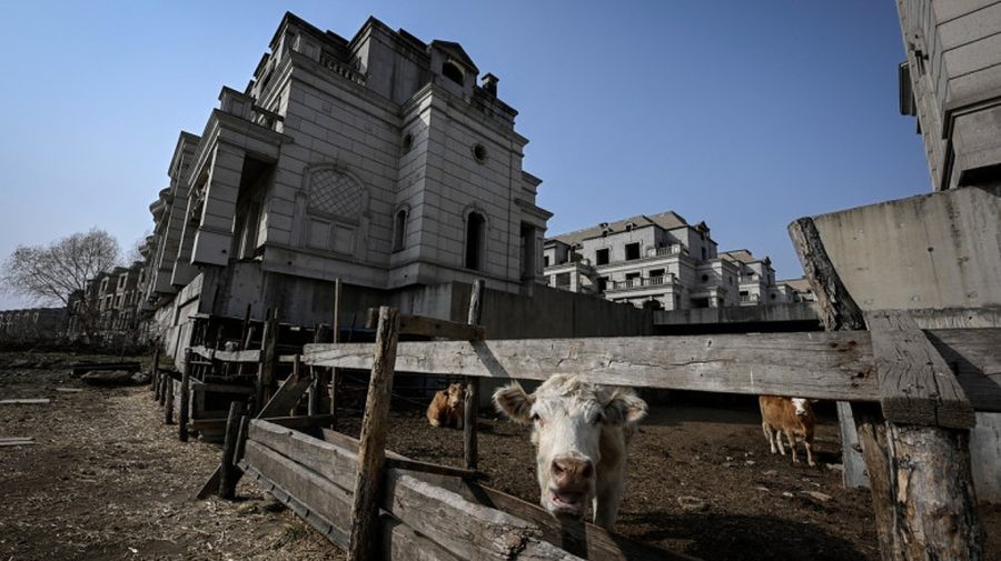 Orașul construit doar pentru milionari de care s-a ales praful. Vilele părăsite sunt ocupate acum de turme de vaci