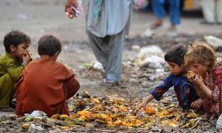 Criza alimentară se adâncește:43 de țări din lume mor de foame