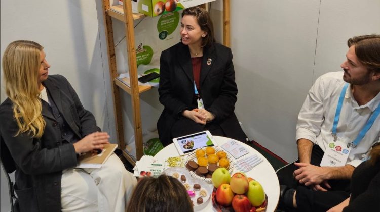 Succes remarcabil pentru exporturile de mere moldovenești în Suedia