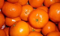 Prețurile la mandarine au luat-o razna în Republica Moldova! Turcii au schimbat calculele