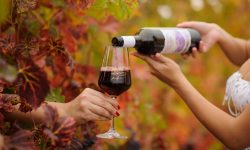 «Casa Petru»: „Un pahar de vin pentru sănătatea ta!”