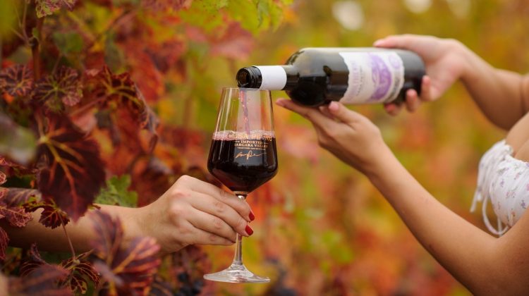 «Casa Petru»: „Un pahar de vin pentru sănătatea ta!”
