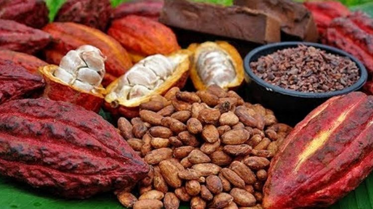 Tona de cacao a ajuns la un nivel record de peste 10.000 de dolari