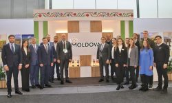 Nouă companii reprezintă Republica Moldova la „Săptămâna Verde” de la Berlin