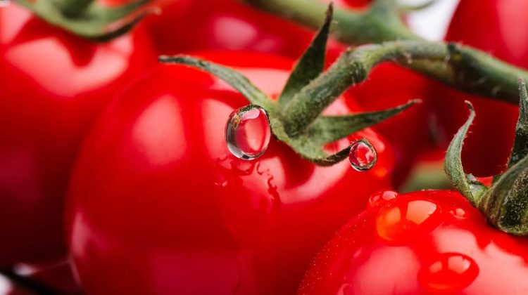 Războiul tomatelor: Premierul spaniol spune că roșiile spaniole sunt mai bune decât cele franțuzești