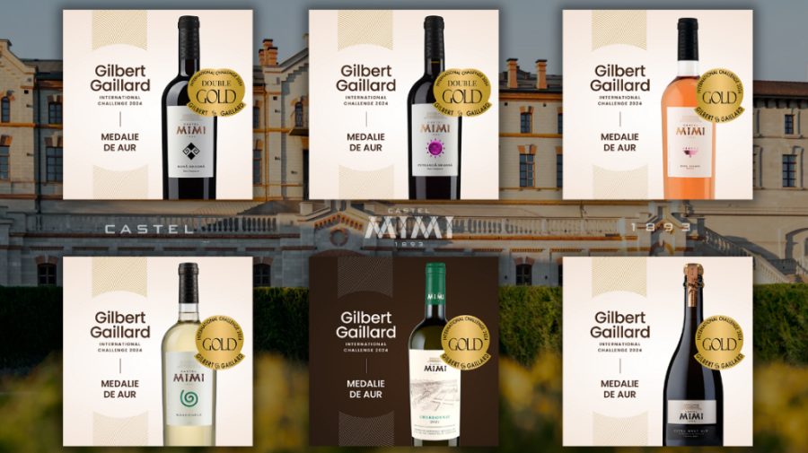 6 medalii de Aur şi Dublu Aur în Franţa pentru vinurile din soiuri autohtone produse de Castel Mimi