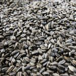 Jumătate din exporturi, la două companii. Cine controlează floarea-soarelui a Moldovei