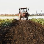 1,85 miliarde de lei pe chimicale. Cât îi costă pe fermieri lupta cu buruienile și bolile