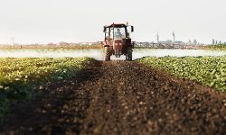 1,85 miliarde de lei pe chimicale. Cât îi costă pe fermieri lupta cu buruienile și bolile