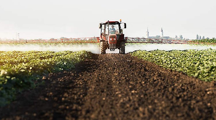 1,85 miliarde de lei pe chimicale. Cât îi costă pe fermieri lupta cu buruienile și bolile