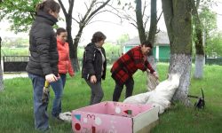 VIDEO Ocnița – dezvoltare rurală prin ateliere de compostare