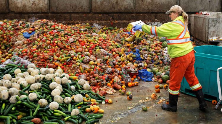 Moldovenii, printre campioni la risipa alimentară! Cantități uriașe de mâncare ajung la gunoi