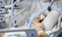 Mor pe capete în Moldova! Boala teribilă care face prăpăd. E de neoprit