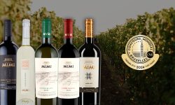 Concours Mondial de Bruxelles şi-a desemnat câştigătorii – 5 dintre vinurile Castel Mimi, medaliate cu aur