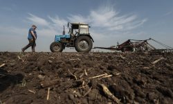 Din Moldova, Ucraina şi până în Vestul Mijlociu al SUA, vremea extremă ameninţă culturile agricole