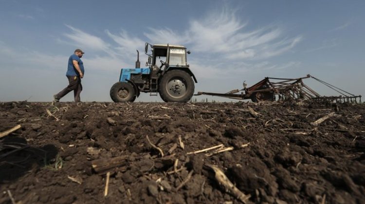Din Moldova, Ucraina şi până în Vestul Mijlociu al SUA, vremea extremă ameninţă culturile agricole
