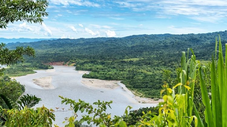 Cum finanțează cele mai mari bănci din lume distrugerea Amazonului