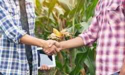 Controverse și îngrijorări: Înființarea Camerelor Agricole amenință fermierii mici
