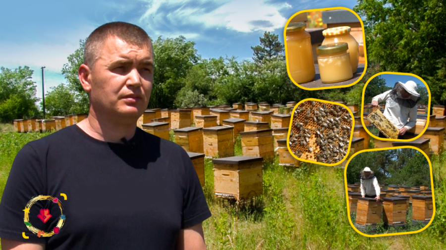 VIDEO Afacere dulce la Leova. Tânărul Andrian Popa a revenit de peste hotare pentru a deveni apicultor