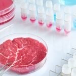 Carnea nu mai e doar carne! Lidl lansează produse „hibride” cu proteină vegetală