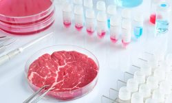 Marea Britanie devine prima țară din Europa care comercializează carne artificială pentru animale de companie