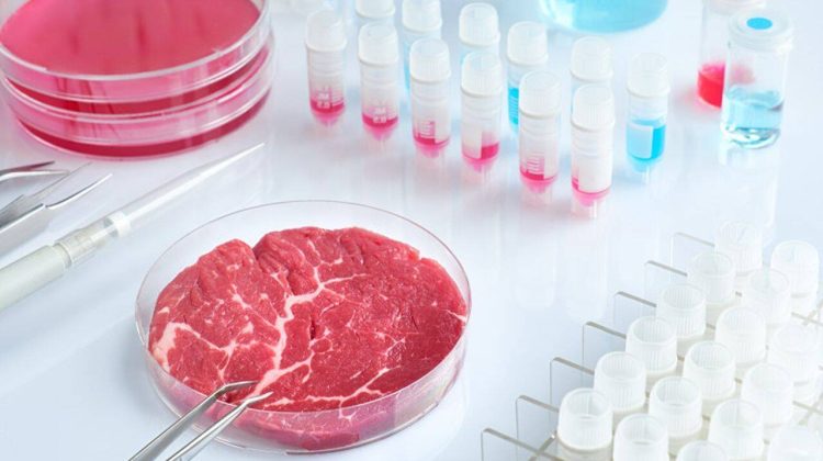 Marea Britanie devine prima țară din Europa care comercializează carne artificială pentru animale de companie