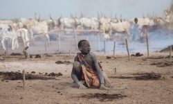 Sudan, în pragul unei catastrofe umanitare. Țara se confruntă cu cea mai mare foamete