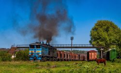 Grâul pleacă de pe șine! Deciziile care alungă exportatorii din Nordul Moldovei