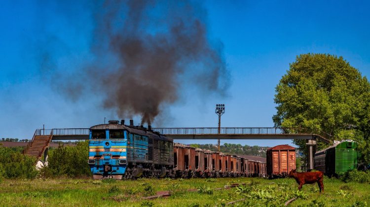 Grâul pleacă de pe șine! Deciziile care alungă exportatorii din Nordul Moldovei