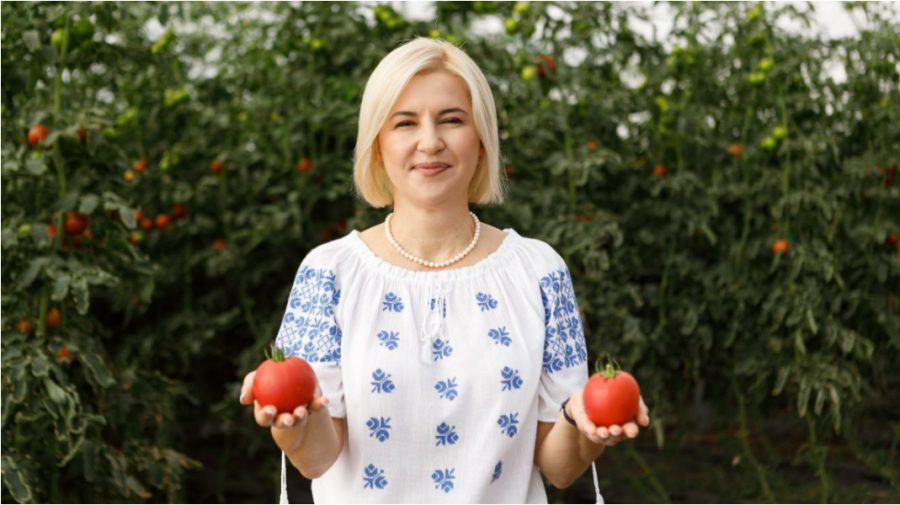 Irina Vlah, despre necesitatea creării unui parc agroindustrial: „Va fi un proiect unic pentru Moldova”