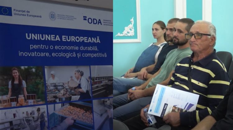 VIDEO Antreprenorii din sudul țării, informați despre accesul la finanțare prin intermediul programelor ODA