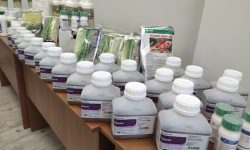 Un traficant de pădure și un fost premier, printre importatorii de produse fitosanitare