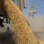 Jumătate din exporturi, în mâinile a trei firme! Cine controlează grâul Moldovei