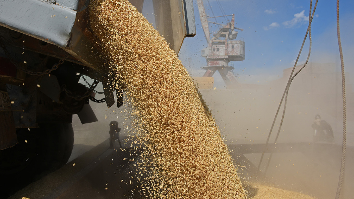 Lovitură pentru fermieri. Grâul se ieftinește, rapița stagnează, doar floarea-soarelui mai ține piața