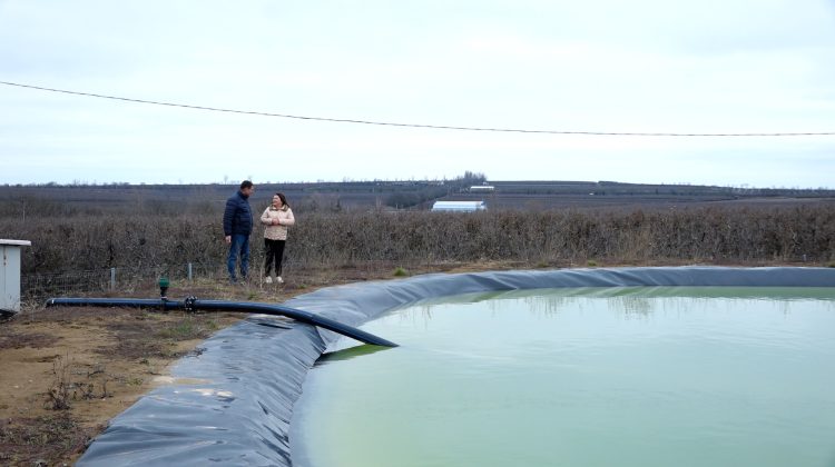 Agricultura moare de sete! Statul pune la dispoziția fermierilor 119 bunuri de irigații pentru a lupta cu seceta