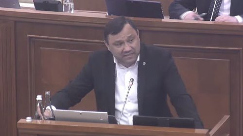 Telenovelă la microfon! Grădinaru, cu lacrimi de crocodil în rolul martirului politic cu trecut greu