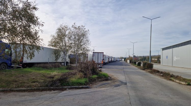 Calvar la vama Leușeni! Fructele se strică în camioane, un singur vameș lucrează pe două culoare