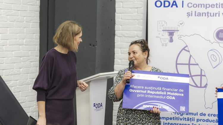 Plouă cu granturi în afaceri: 68 de companii vor primi aproape 29 de milioane de lei