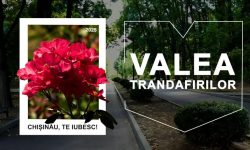 Parcul Valea Trandafirilor – unul dintre cele mai frumoase din oraș