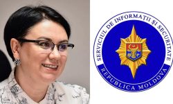 Scandal financiar în PAS: compania Mariei Acbaș, suspectată de legături cu rețeaua Șor