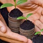 Subvenții reluate cu frâna trasă: AIPA aprobă peste 520 de milioane, fermierii așteaptă 3,4 miliarde de lei