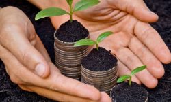 203 afaceri agricole, sprijinite de Programul FCA: peste 201 milioane lei au fost alocate de la începutul anului