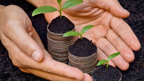 Subvenții de circa 159 milioane lei, autorizate de AIPA în februarie: utilaje, ferme și depozite, în topul finanțărilor