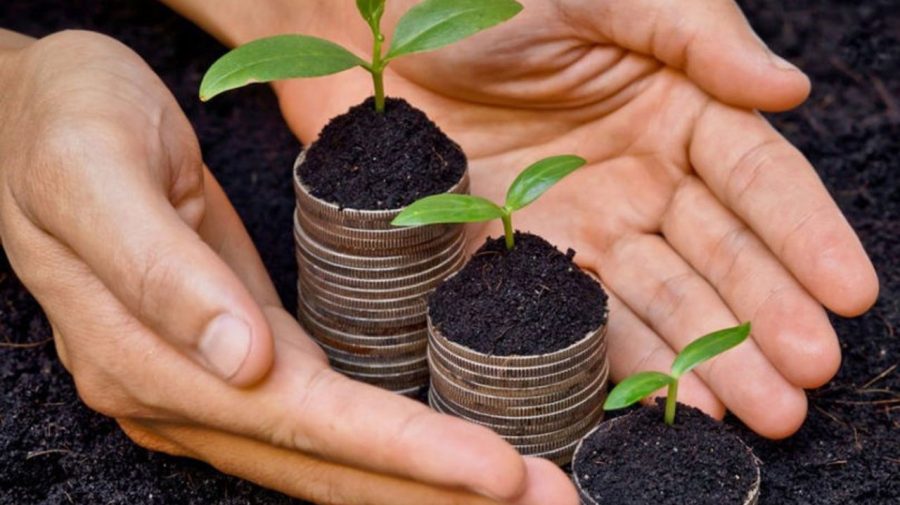 203 afaceri agricole, sprijinite de Programul FCA: peste 201 milioane lei au fost alocate de la începutul anului