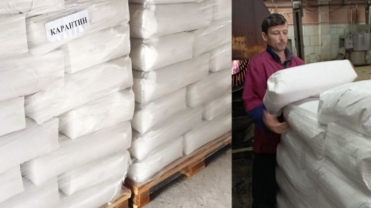 OMG în amidon! Un lot de 2 000 kilograme, nimicit de ANSA înainte de a ajunge pe piață