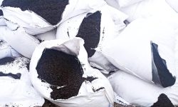 Ceai cu pesticide, descoperit în cantități uriașe: peste o tonă a fost distrusă de ANSA