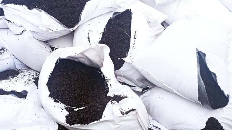 Ceai cu pesticide, descoperit în cantități uriașe: peste o tonă a fost distrusă de ANSA