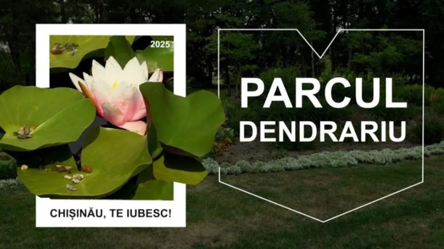 Parcul Dendrariu – un loc renumit pentru colecția sa bogată de plante și frumusețea peisagistică