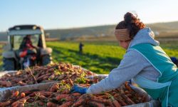 Fermierii și șomerii din sate, sprijiniți de un nou proiect european de 3 milioane euro